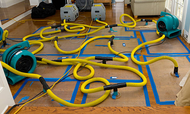 Professional Crawl Space Water Removal technician working in Falls Church, VA